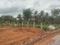 Vaishnavi  Harohalli Plot View 2