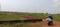 AIIMS CITY Plot View 2