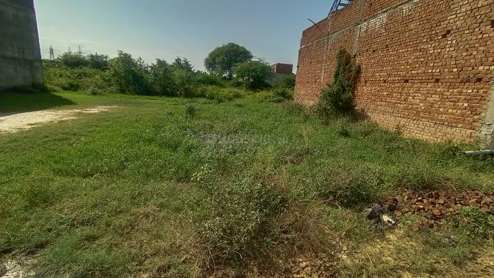 Naraingarh Main Image 1