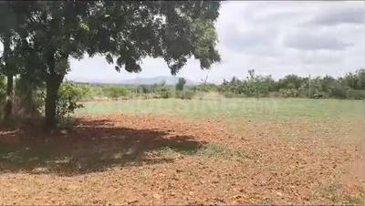Image of 53240 Sq.ft Residential Plot / Land for sale in Aroodi, Bengaluru for Rs. 120000000