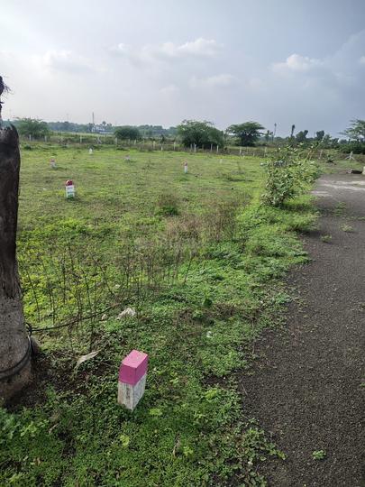 Sanaswadi Main Image 1