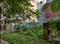 Sector G, LDA Colony Plot View 2