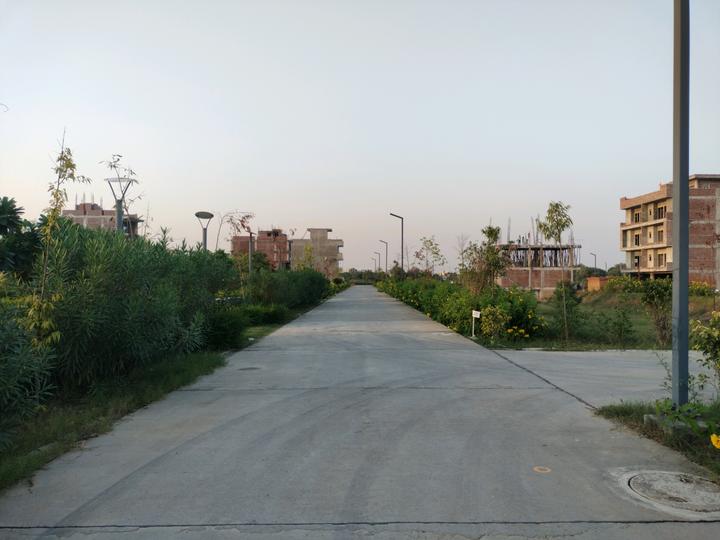 Amolik Aster Woods Main Image 1