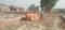 Kalli Pashchim Main Image 1