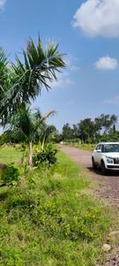 Image of 8000 Sq.ft Residential Plot / Land for sale in Patan, Durg for Rs. 5208000