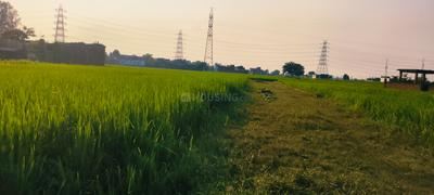 Image of 2720 Sq.ft Residential Plot / Land for sale in Kandwa, Varanasi for Rs. 3600000