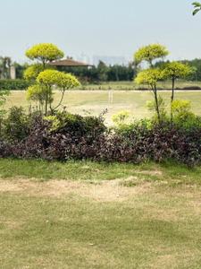 Chi V Plot View 1