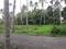 Kottarakkara Main Image 1