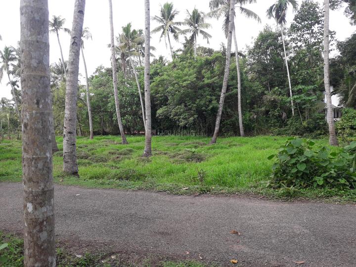 Kottarakkara Main Image 1
