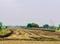 Vrindavan Colony Main Image 1