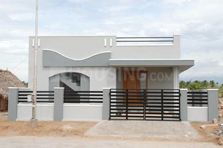 TAASA MEDORA Main Image 1