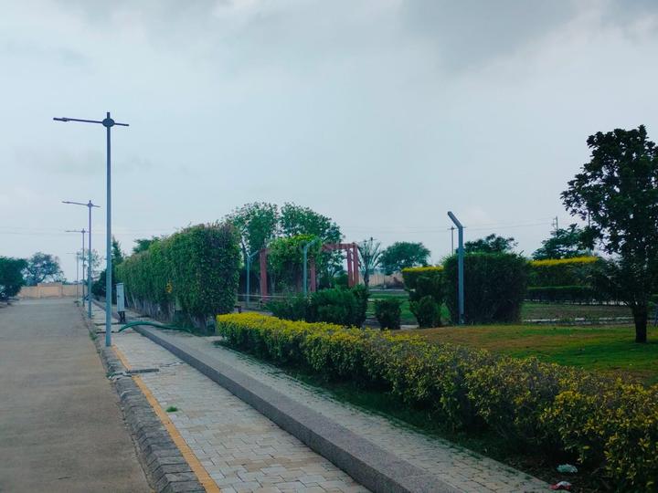 Nipania Main Image 1