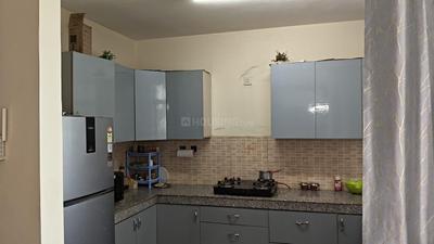 Kitchen Image of 1665 Sq.ft 3 BHK Apartment / Flat for rent in Assotech Blith, Gopalpur Gurgaon for Rs. 34000