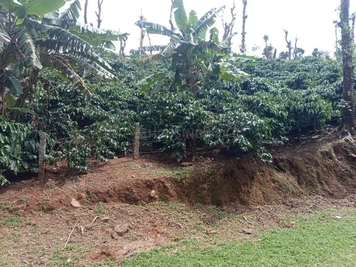 sakleshpur Mudigere Main Image 1