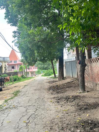 Lamhi Main Image 1