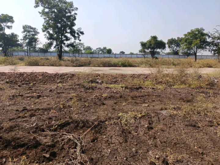 Uruli Kanchan Main Image 1