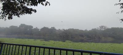 Balcony Image of 2400 Sq.ft 3 BHK Apartment / Flat for sale in Godrej River Royale, Mahalunge Pune for Rs. 22000000