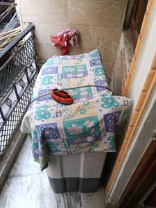 Balcony Image of 600 Sq.ft 1 BHK Builder Floor for rent in Sector 19 Dwarka New Delhi for Rs. 18000