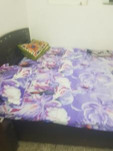 Bedroom Image of Amanpg in Sant Nagar, New Delhi