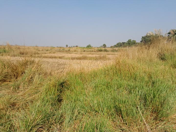 Gopalpur Main Image 1