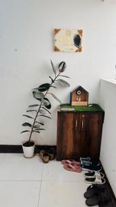 Balcony Image of 950 Sq.ft 2 BHK Apartment / Flat for sale in Majestique Rhythm County Phase 1, Handewadi Pune for Rs. 6300000