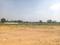 Thimmapur Plot View 1