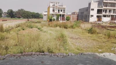 Susuwahi Plot View 2