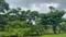 Bombay ymca campus lake side Plot View 2