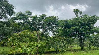 Bombay ymca campus lake side Plot View 2