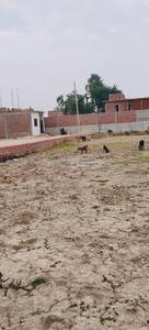 Image of 1000 Sq.ft Residential Plot / Land for sale in Baragaon, Varanasi for Rs. 1100000