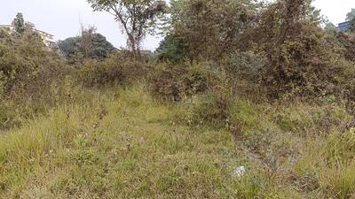 Image of 3600 Sq.ft Residential Plot / Land for sale in Madhyamgram, Kolkata for Rs. 4500000