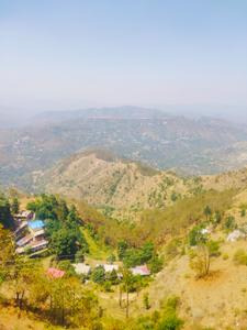 Image of 950 Sq.ft 2 BHK Apartment / Flat for rent in Jutogh Cantonment, Shimla for Rs. 21000