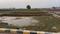 Alamnagar, Budheshwar Plot View 2