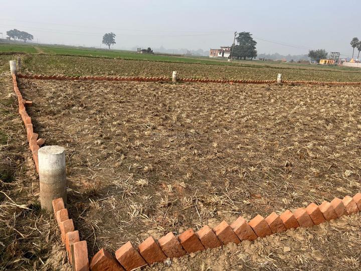 Prakritik vihar Main Image 1