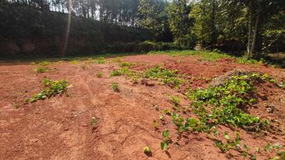 Image of 19600 Sq.ft Residential Plot / Land for sale in Kolenchery, Kochi for Rs. 4500000