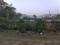 Model Town Main Image 1