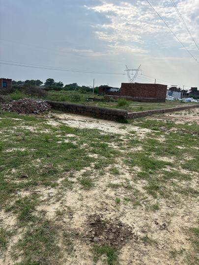 Jarauli Main Image 1