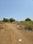 Hirapur Main Image 1