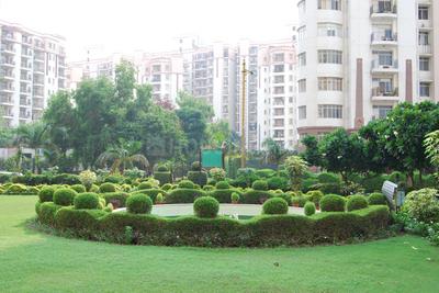 Image of 1564 Sq.ft 3 BHK Apartment / Flat for sale in Suncity Essel Towers, Sushant Lok Phase 1, Gurgaon for Rs. 31000000