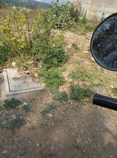 ROYAL RAJPUTANA CO Main Image 1