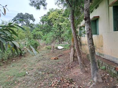 Image of 2376 Sq.ft 5 BHK Independent House for sale in Bardowali, Agartala for Rs. 13500000