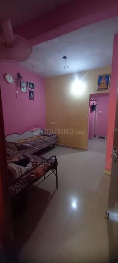 Fursungi Main Image 1