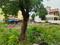 Parthsarthy Enclave, Bagmugaliya Main Image 1