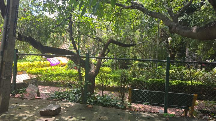 Koramangala Main Image 1