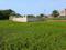 Sonargaon 2 Plot View 2