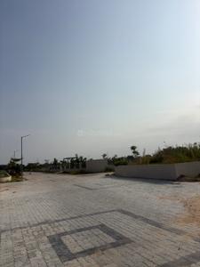 Greens Plot View 2