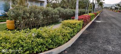 Shriram Eden 144 Plot View 2