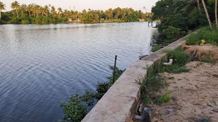 Keralarealty Main Image 1
