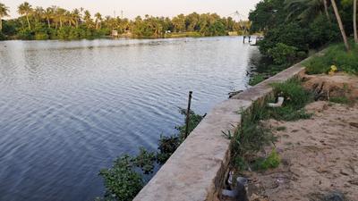 Keralarealty Plot View 1