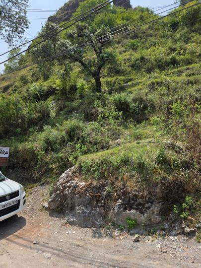 Johri Main Image 1